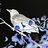 PaleCrow55 PaleCrow55